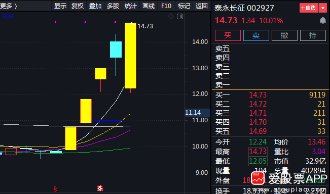 1月19日十大人气股：深中华A九连板