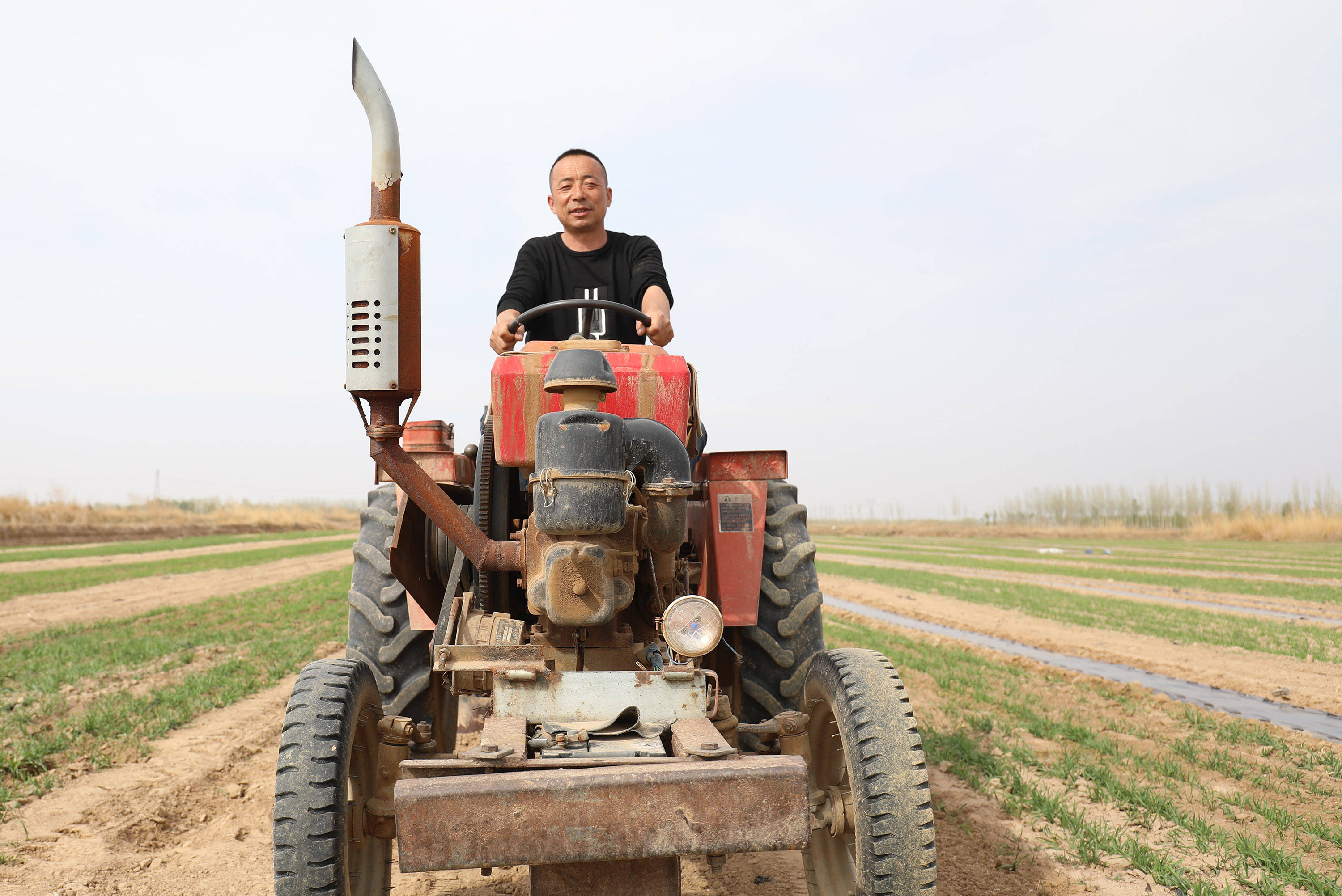 走进新疆看新农人：农田里看不到人忙碌