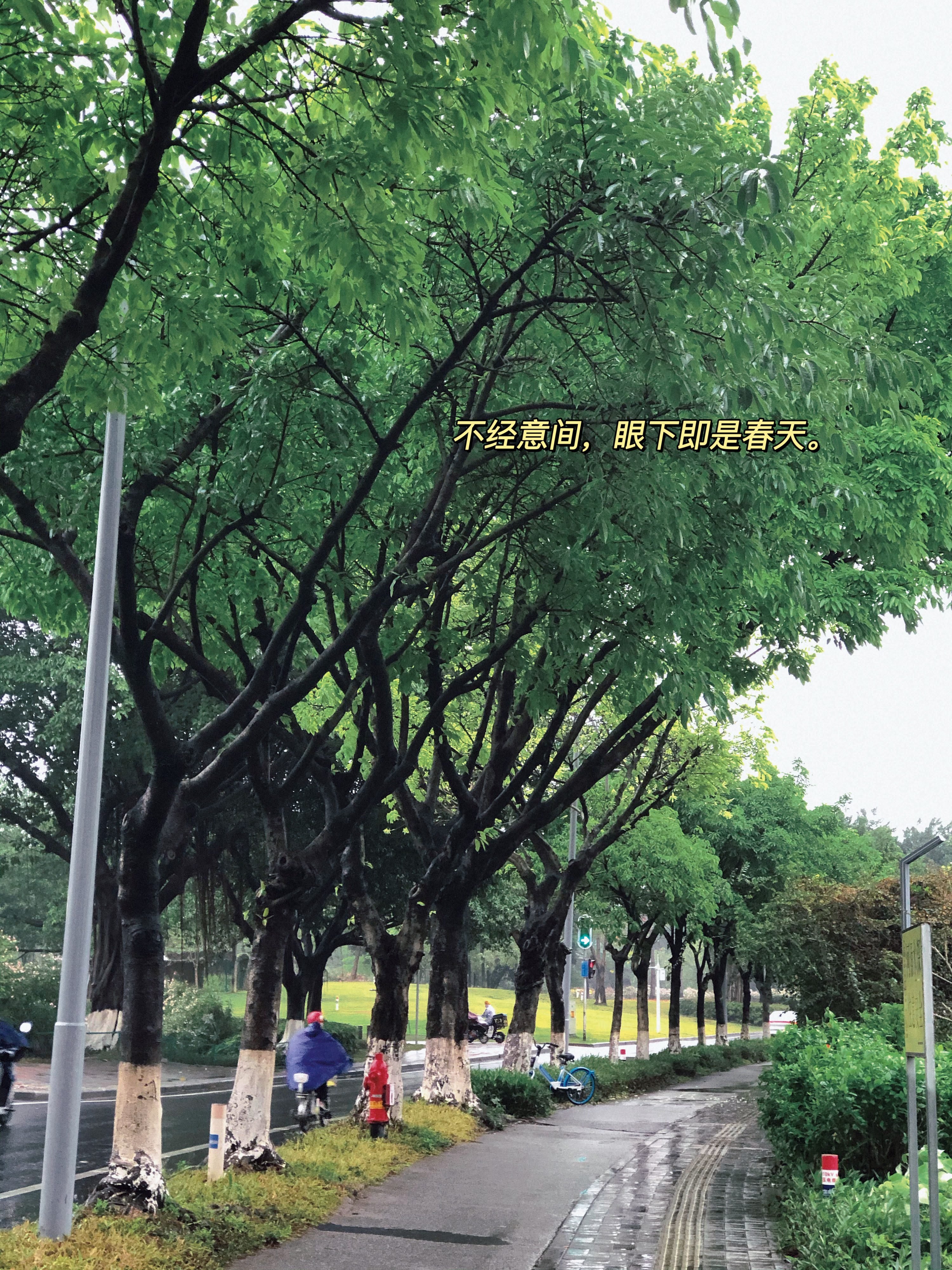 下雨天是山水的最佳滤镜