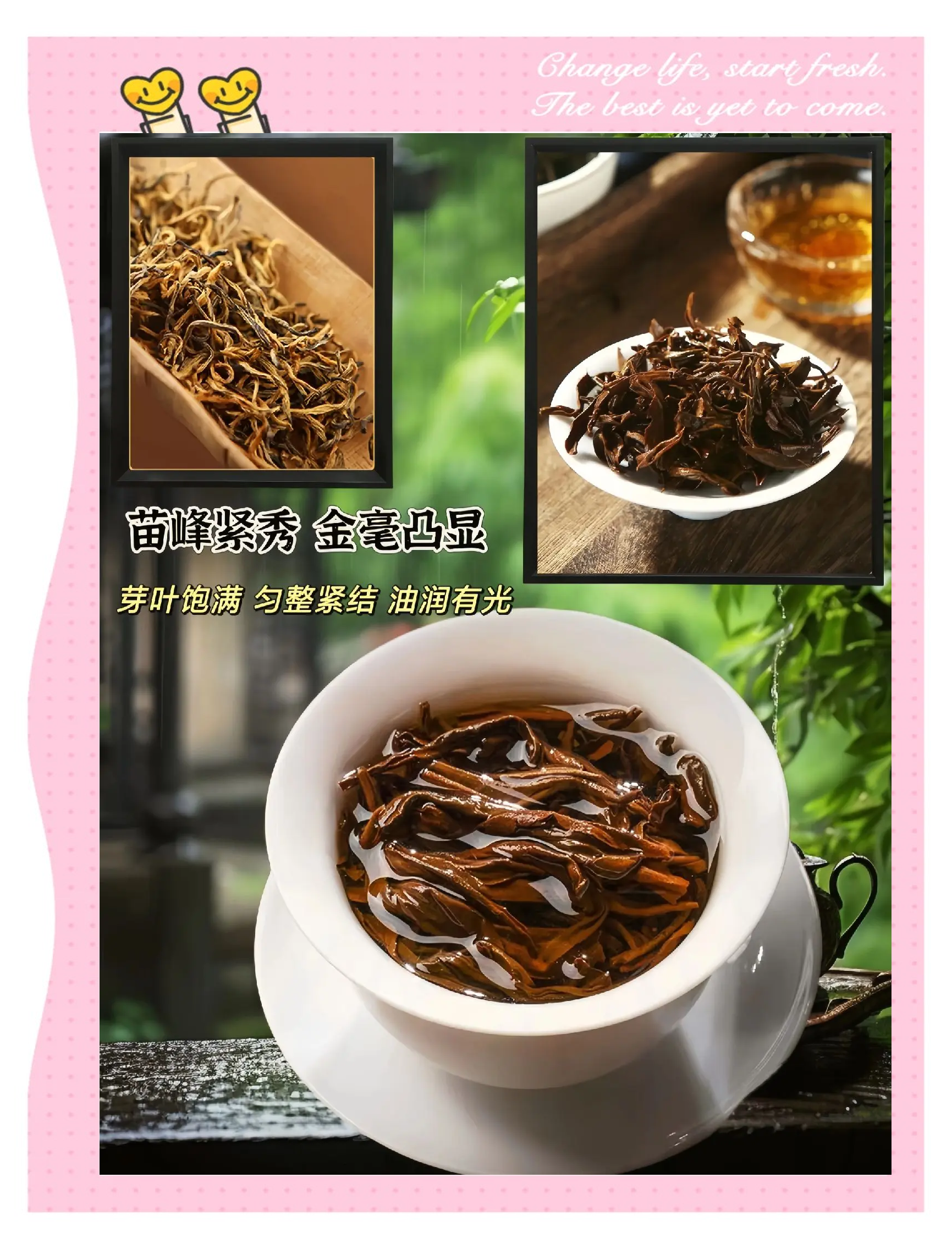 茶香氤氲 韵承古今——第六届“美美与共”云茶会展现千年茶韵